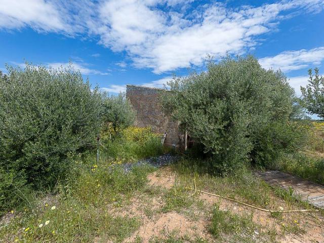 Terreno en venta en Raiguer, Baleares