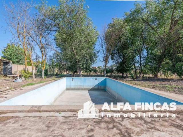 Terreno en venta en Pinarejo, Castilla-La Mancha