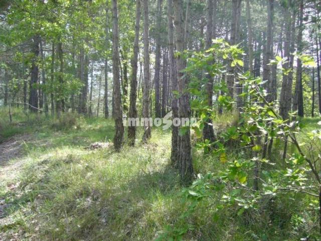 Terreno en venta en Moianès, Catalunya