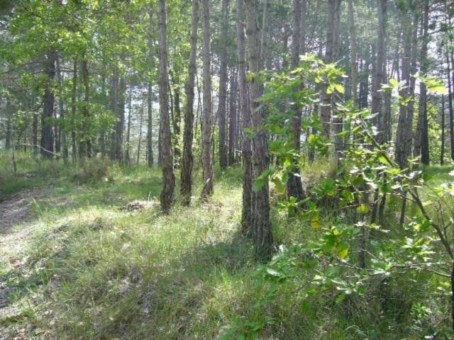 Terreno en venta en Moianès, Catalunya