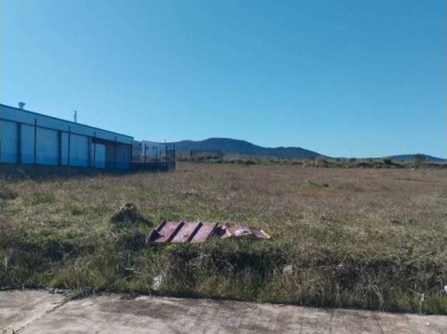 Terreno en venta en Tierra de Barros, Extremadura