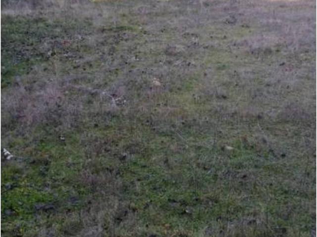 Terreno en venta en Santa Marta De Tormes, Castilla y León