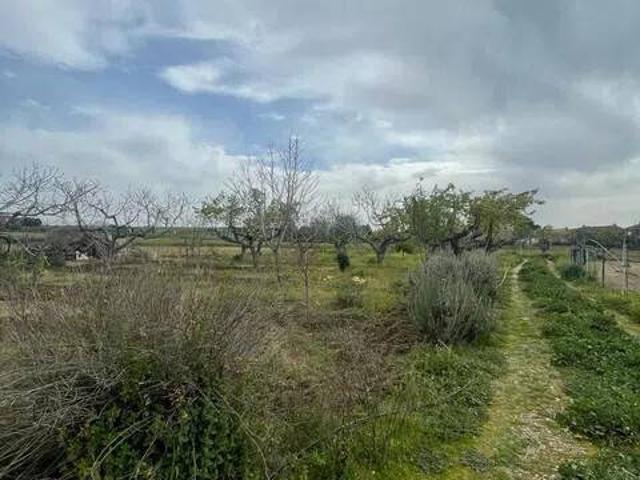 Terreno en venta en Santa Olalla, Castilla-La Mancha