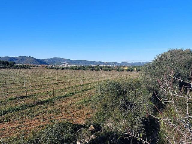Terreno en venta en Santa Oliva