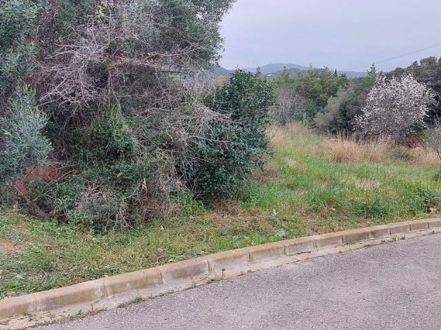 Terreno en venta en Santa Oliva