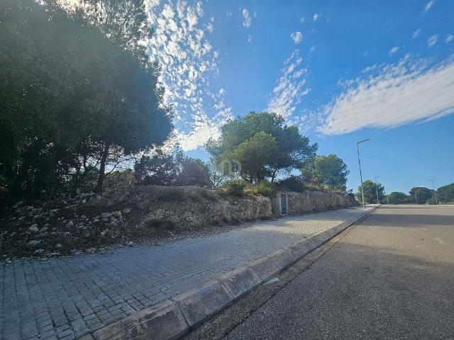 Terreno en venta en Santa Oliva