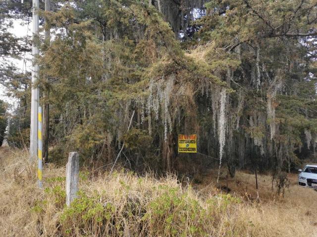 Terreno en venta en Tlahuapan, Puebla