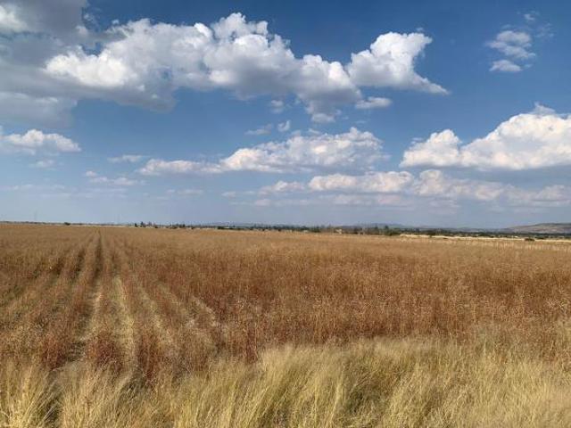 Terreno en Venta en Santa Rosa