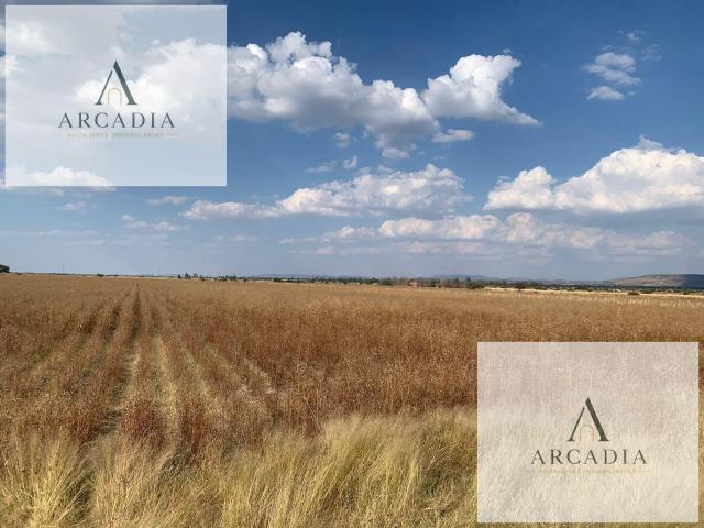 Terreno en venta en El Llano, Aguascalientes