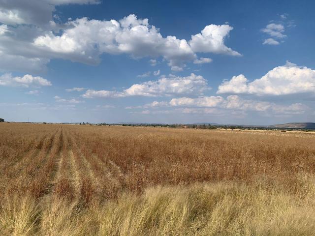 Terreno en venta en El Llano, Aguascalientes