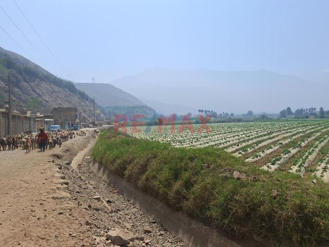 Terreno venta en Santa Rosa De Quives, Lima Metropolitana