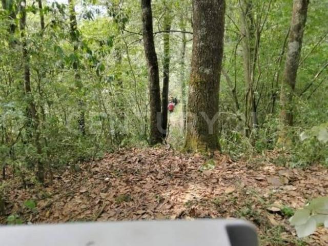 Terreno en venta en Santa Rosa Teziutlan Puebla