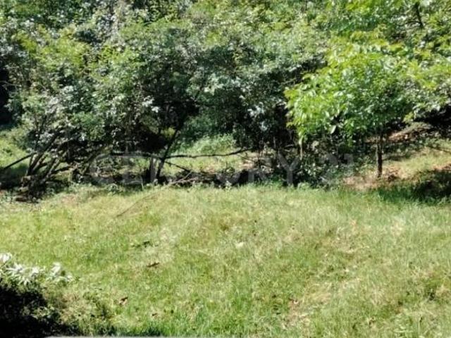 Terreno en venta en Santa Rosa Teziutlan Puebla