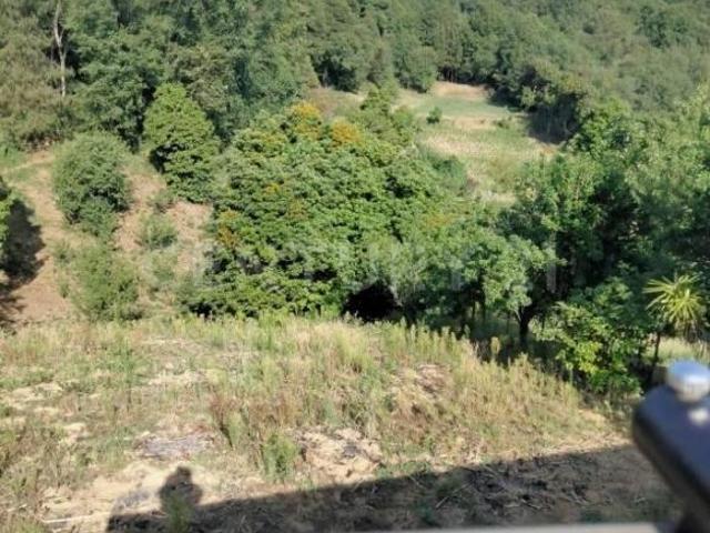 Terreno en venta en Santa Rosa Teziutlan Puebla