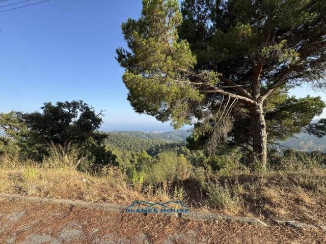 Terreno en venta en Maresme, Catalunya