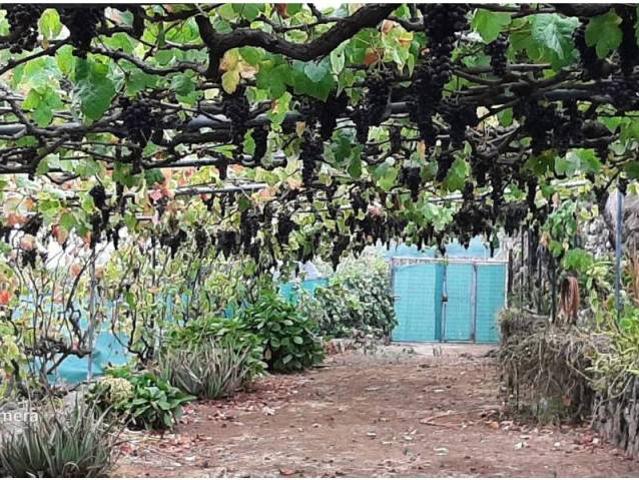 Terreno en venta en Santa Úrsula, Canarias