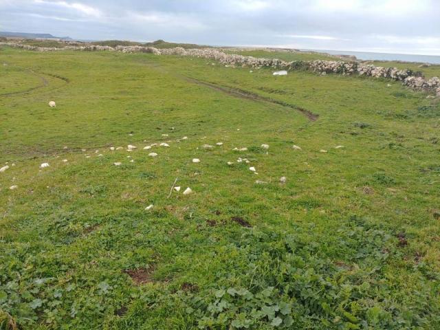 Terreno en venta en Santander, Cantabria