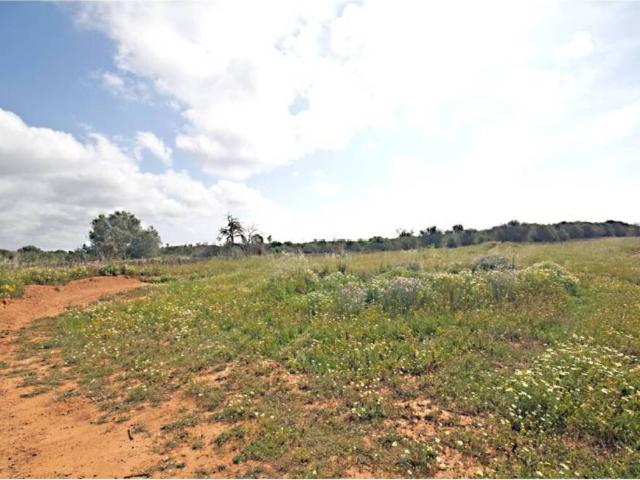 Terreno en venta en Migjorn, Baleares
