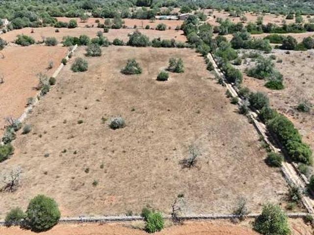 Terreno en venta en Cala Santanyí, Migjorn