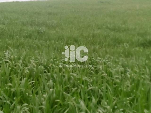 Terreno en venta en Santiago De Calatrava, Andalucía