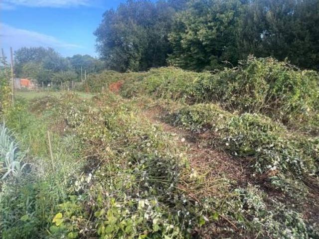 Terreno en venta en Santiago, Galicia