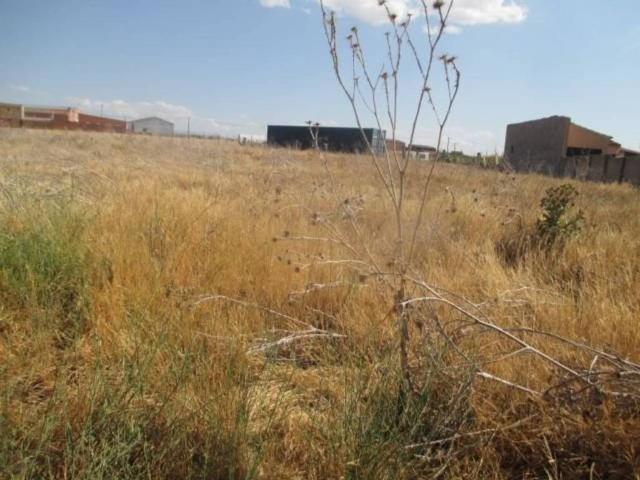 Terreno en venta en Santiago De La Puebla, Castilla y León