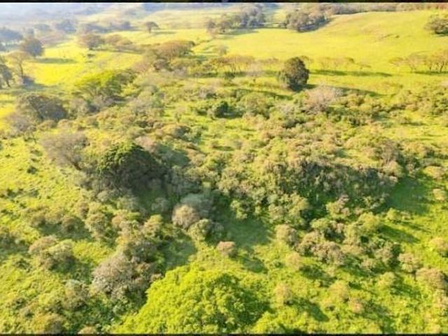 Terreno en venta en Santiago Tuxtla, Veracruz
