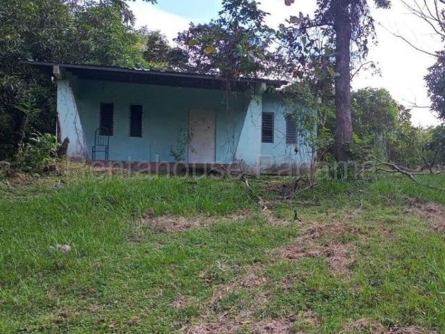 Terreno venta en Llano de Catival, Santiago