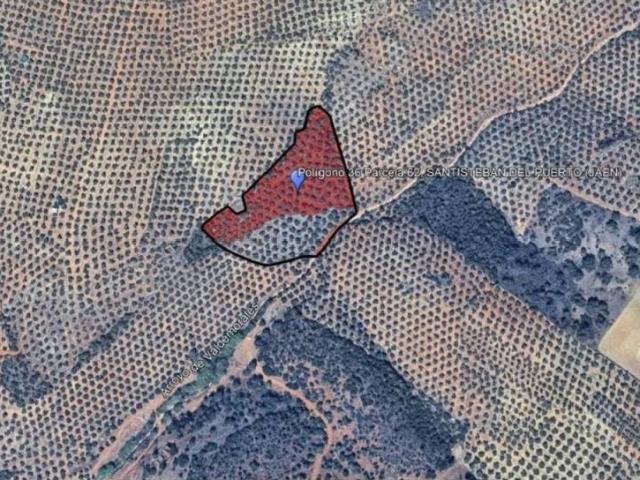 Terreno en venta en Santisteban Del Puerto, Andalucía