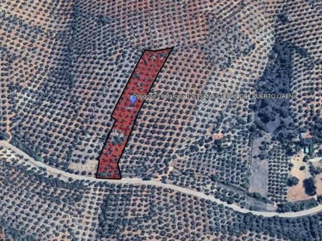 Terreno en venta en Santisteban Del Puerto, Andalucía