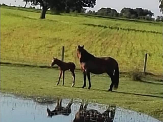 Terreno en venta en Santiz, Castilla y León