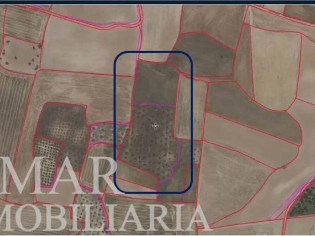 Terreno en venta en Santo Domingo-caudilla, Castilla-La Mancha