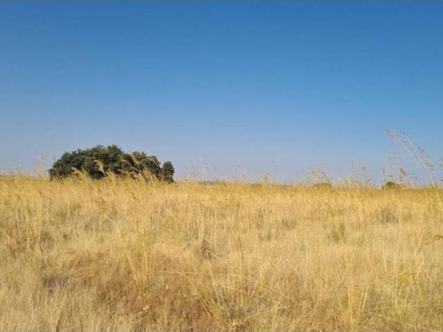 Terreno en venta en Santo Domingo De Pirón, Castilla y León