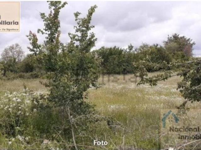 Terreno en venta en Santo Tomé Del Puerto, Segovia