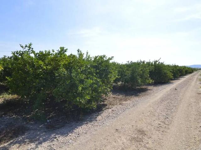 Terreno en venta en Santomera, Área Metropolitana de Murcia