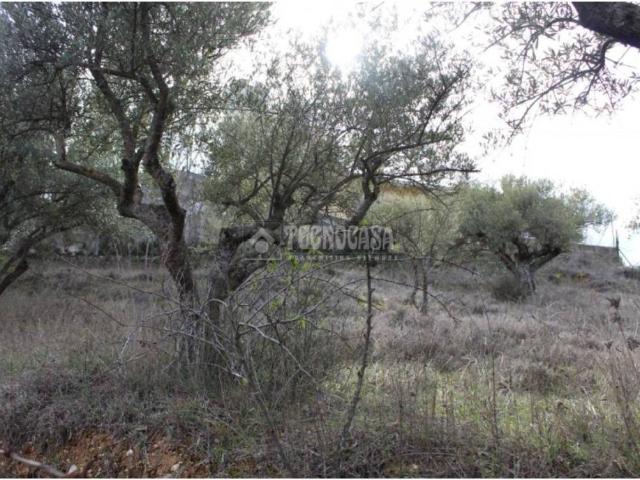 Terreno en venta en Santorcaz, Madrid