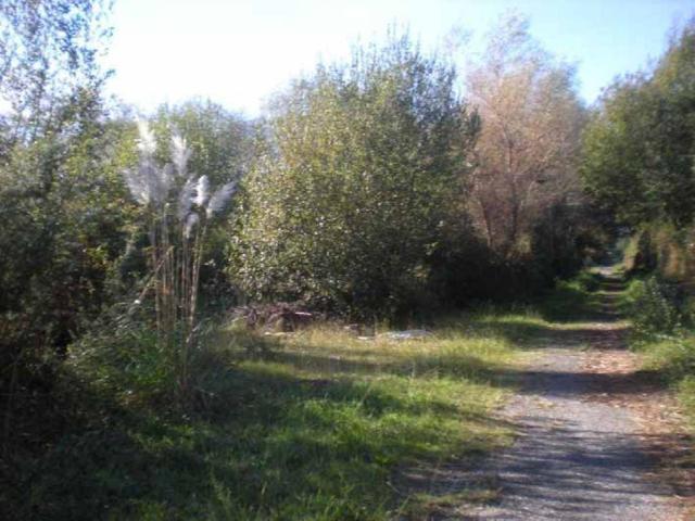 Terreno en venta en A Revolta, O Salnés