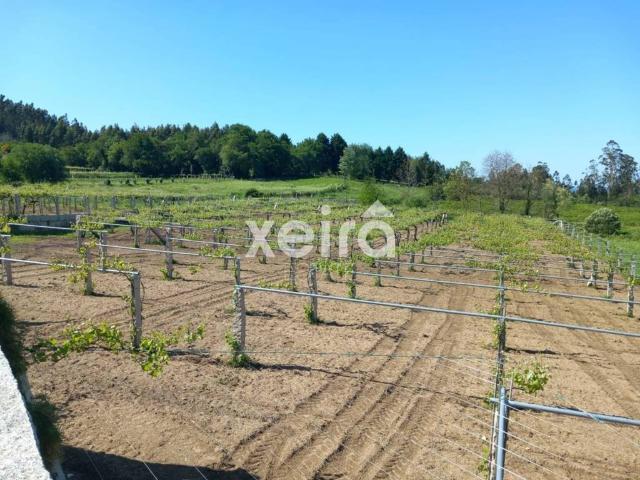 Terreno en venta en O Salnés, Galicia