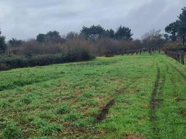 Terreno en venta en Sanxenxo