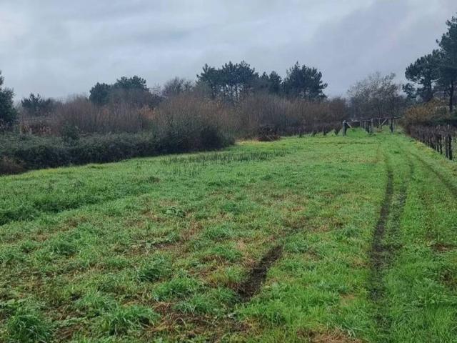 Terreno en venta en O Salnés, Galicia