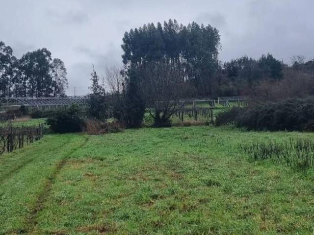 Terreno en venta en O Salnés, Galicia