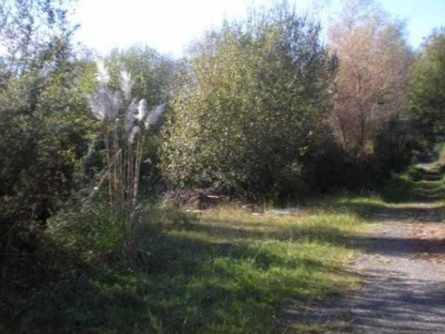 Terreno en venta en Sanxenxo, Padriñán