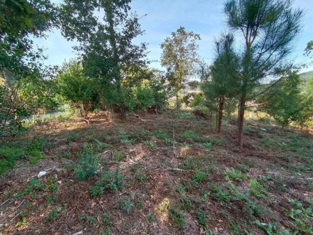 Terreno en venta en O Salnés, Galicia