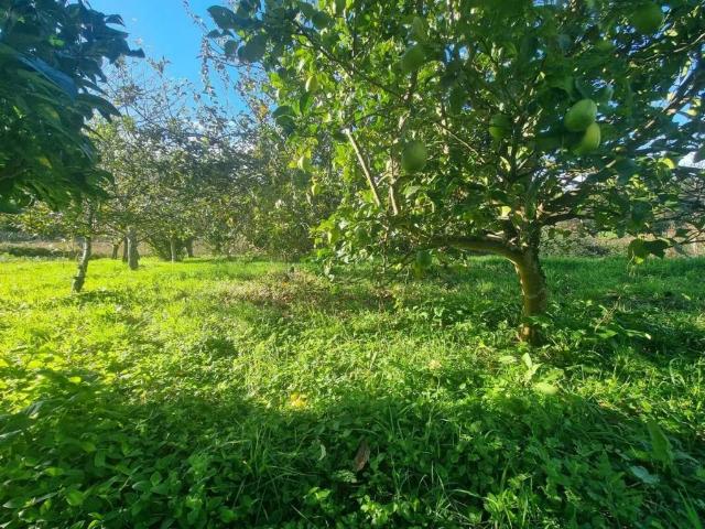Terreno en venta en Padriñán, O Salnés