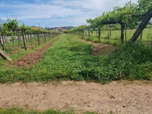 Terreno en venta en O Salnés, Galicia