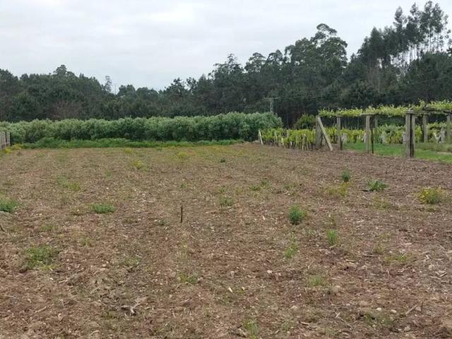 Terreno en venta en Pontes, O Salnés