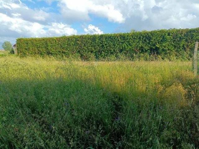 Terreno en venta en O Salnés, Galicia