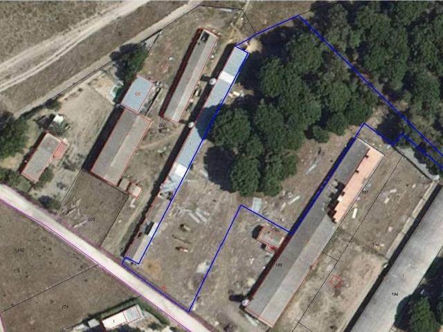 Terreno en venta en Sardón De Duero, Castilla y León