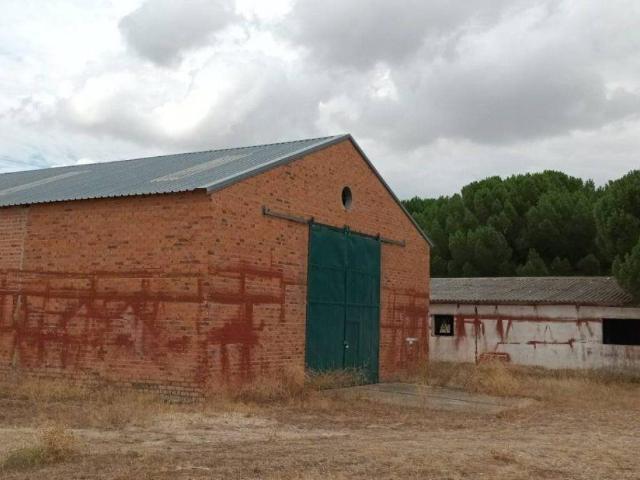 Terreno en venta en Sardón De Duero, Castilla y León