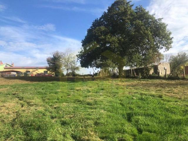 Terreno en venta en Sariego